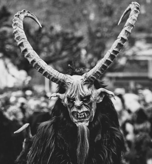 crambus celebrations